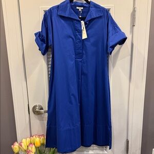 Tyler Boe Royal Blue Shirt Midi Dress